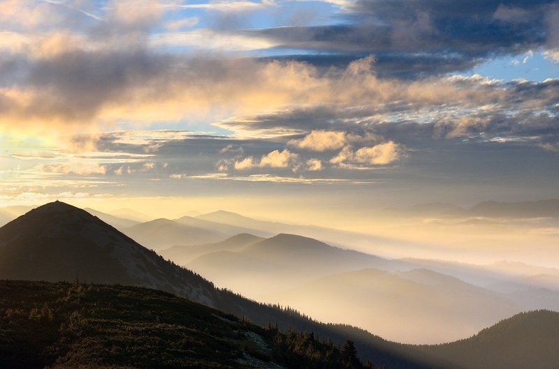 Clouds, Forest, Karpaty, Mountains, Sunrise, Горы, Карпаты, Лес, Облака, Рассвет  фото превью