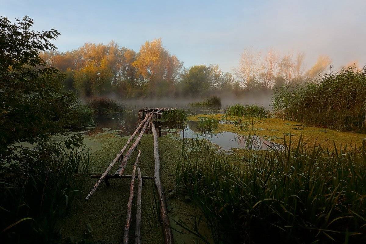 , Петриченко Валерий