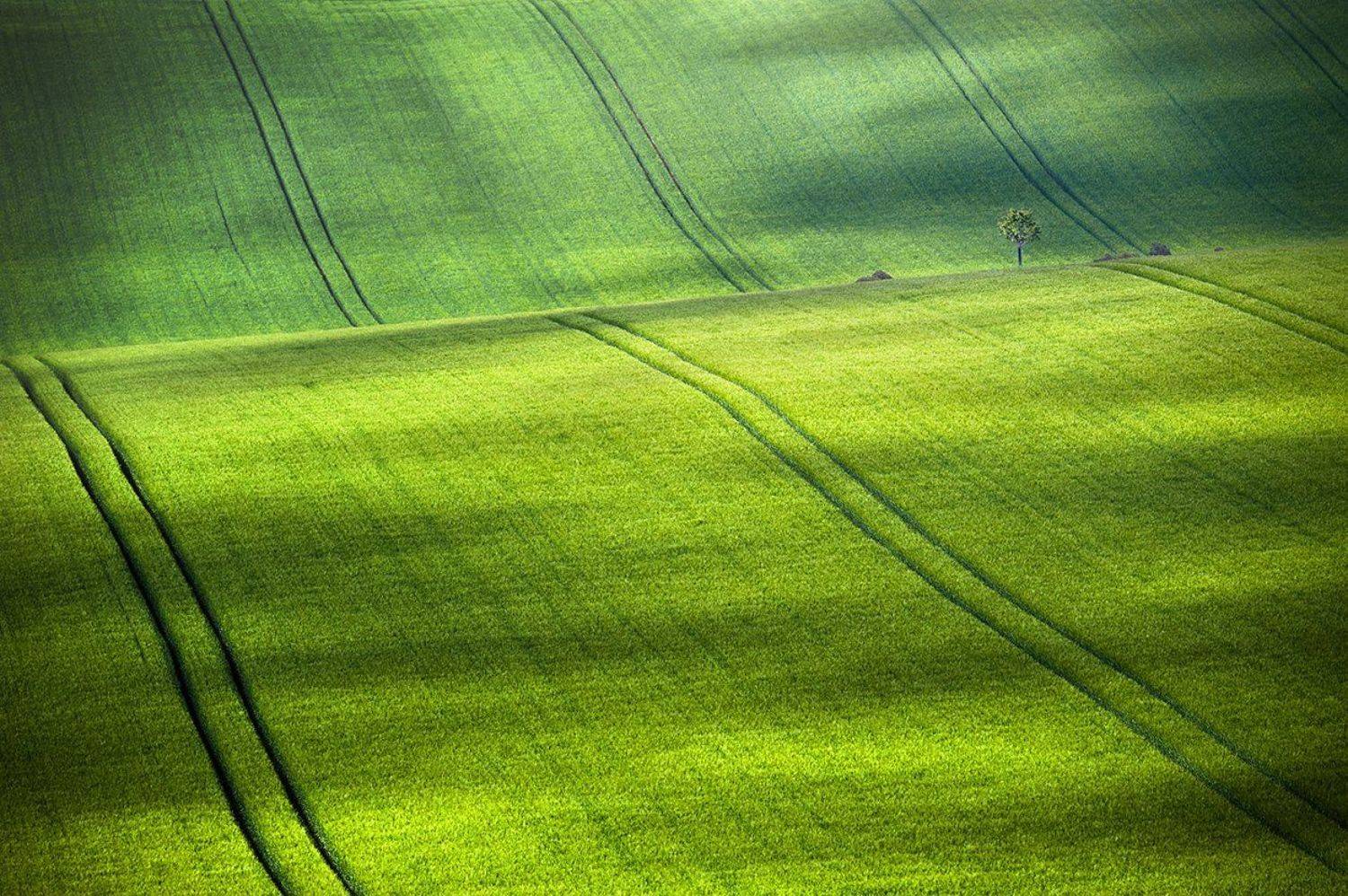 , Danny Vangenechten