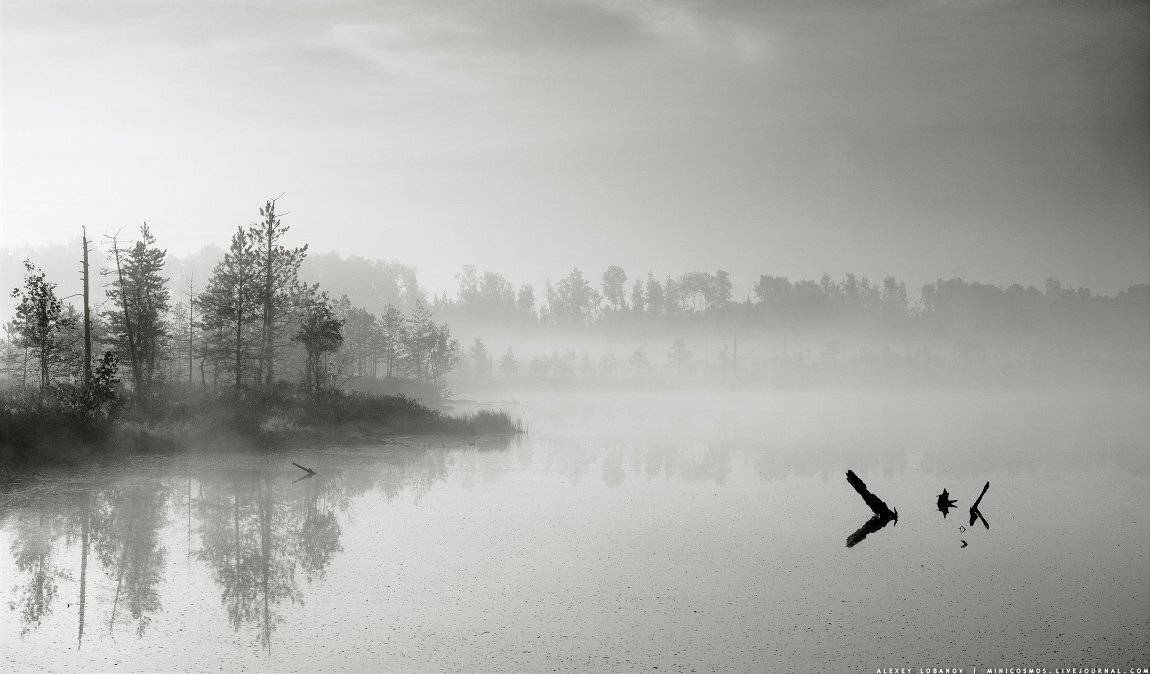 ярославская область, Алексей Лобанов
