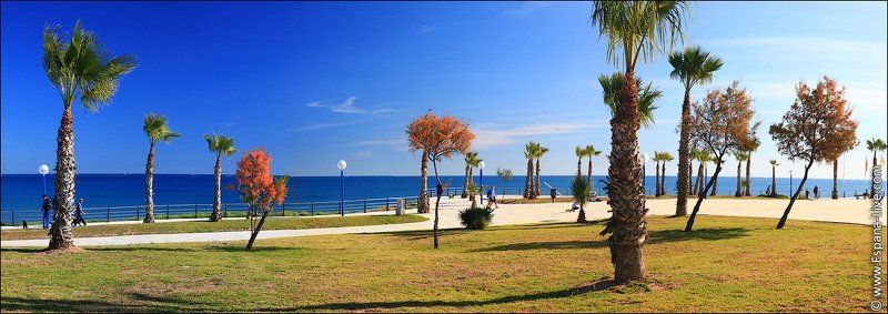 Фото Испании, пальмы, море, набережная фото превью