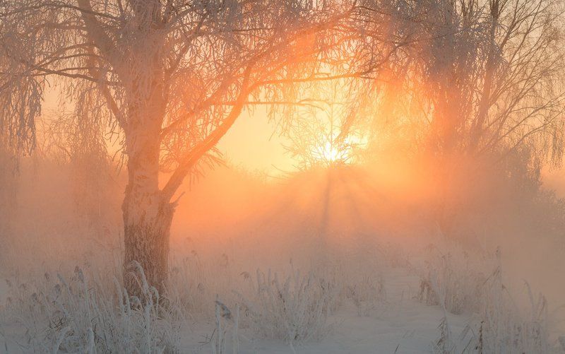 Про зимние рассветы фото превью