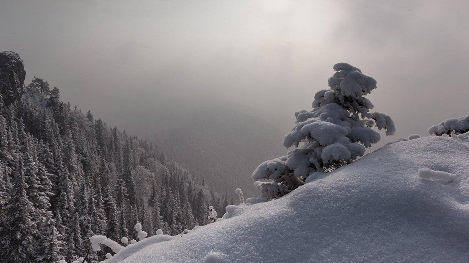 , Света  Черникова