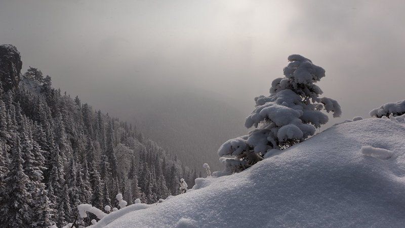 Тихо падал снег... фото превью