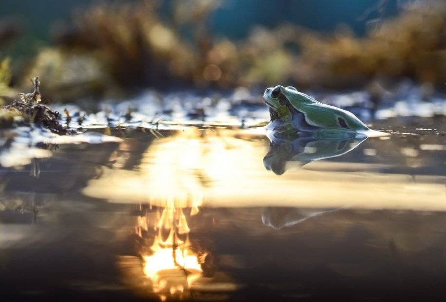 , Вячеслав Мищенко