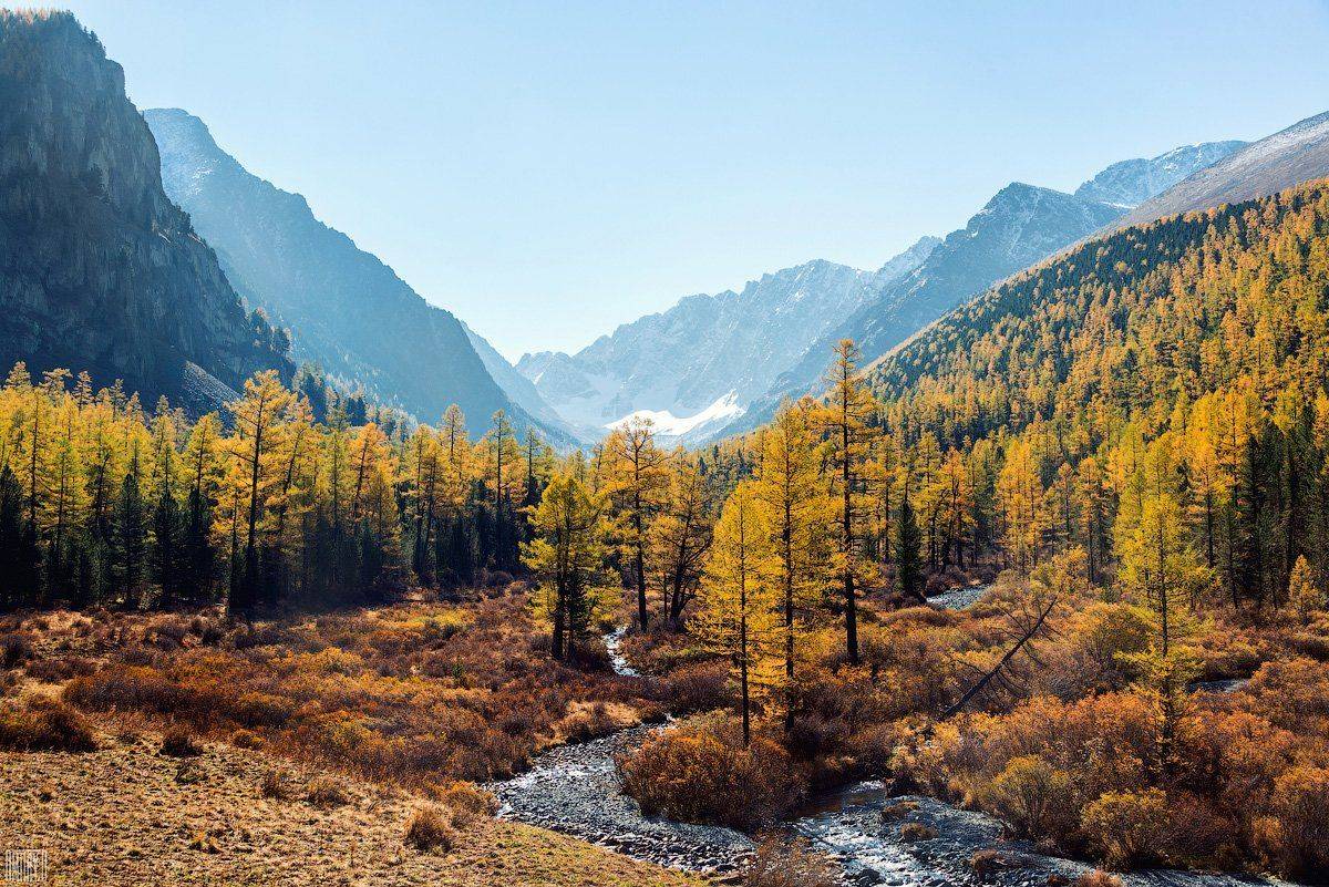 Алтай, Горы, Лес, Пейзаж., Река, Россия, Дмитрий Доронин