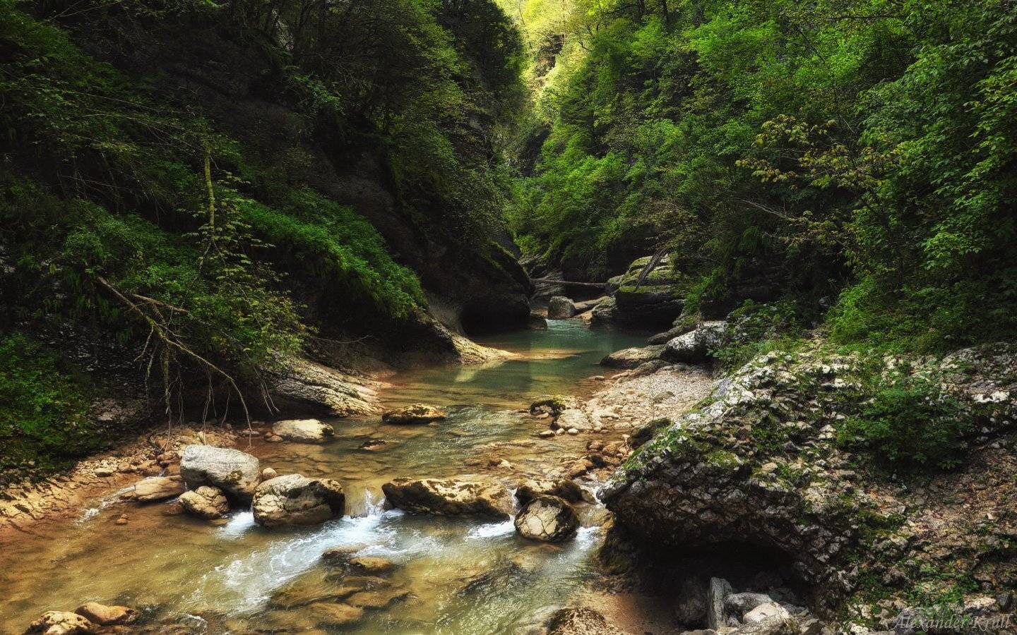курджипс, Александр Круль
