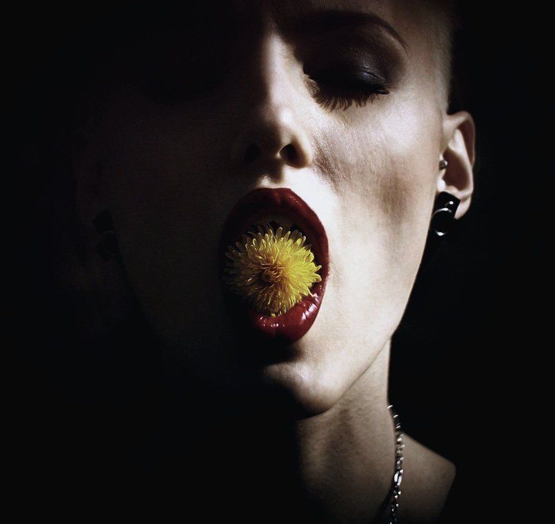 _ фото превью