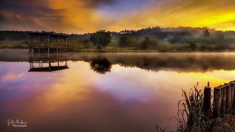 Magic wake up фото превью