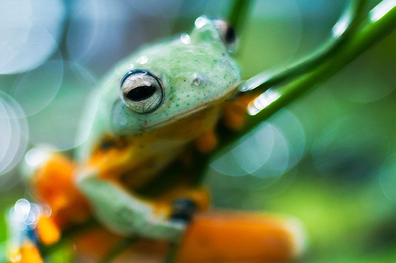 sleepy фото превью