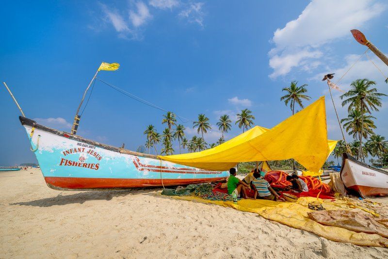 agonda beach, betul, cabo de rama fort, colva beach, grigoriy bedenko, sal river, south goa, агонда, бетул, гоа, григорий беденко, дети, индия, кабо де рама, колва, корова, лодка, лодки, перец, река, рыбаки, форт, чили, штат, южный гоа Гоанские картинки (часть 2) фото превью