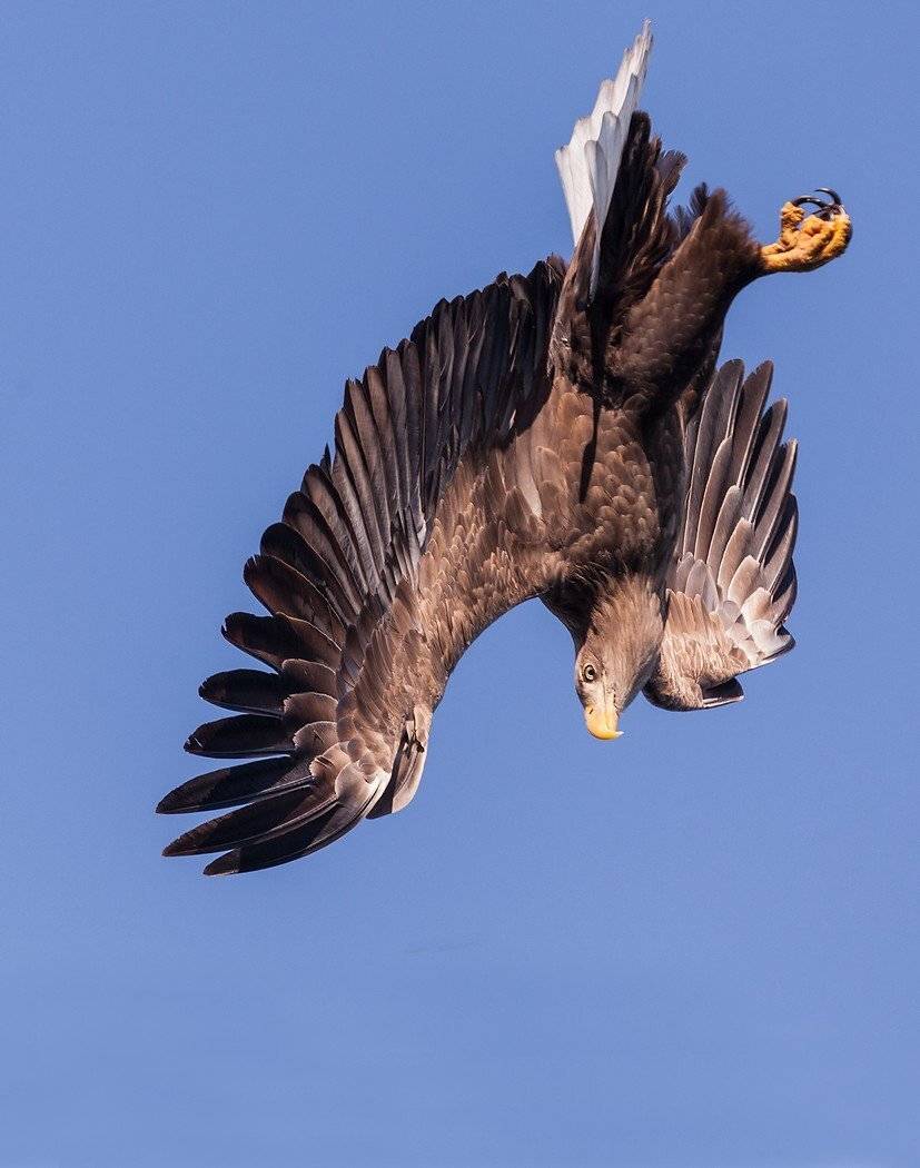 , Евгений Слободской