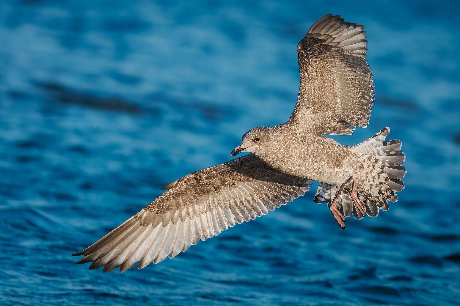 , Поляков Михаил