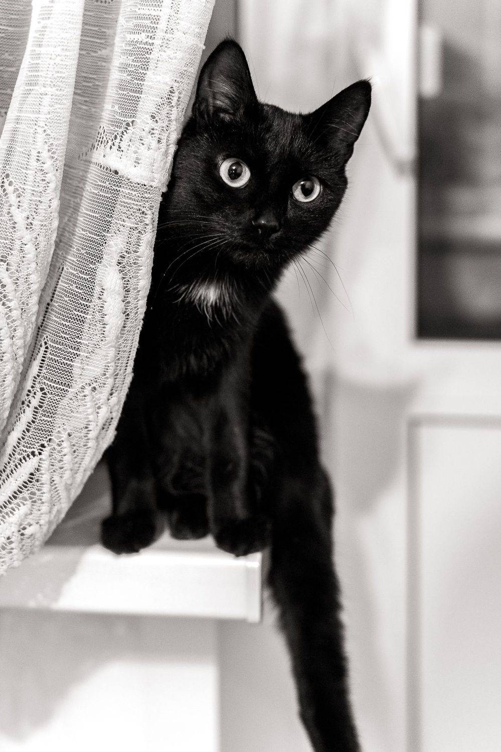 , Анисимова Ольга Леонидовна