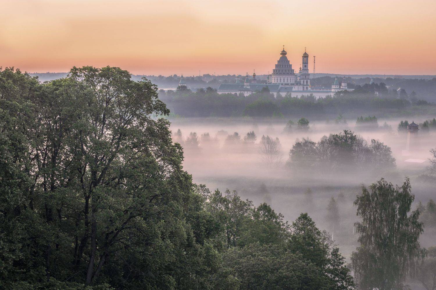 Истра, Гусева Елена