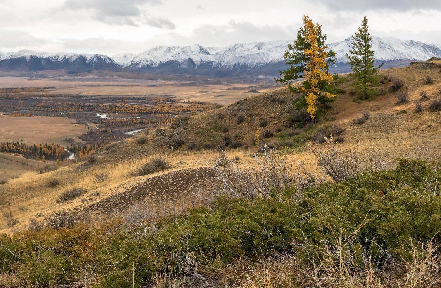 алтай, северо-чуйский хребет, Марина Фомина