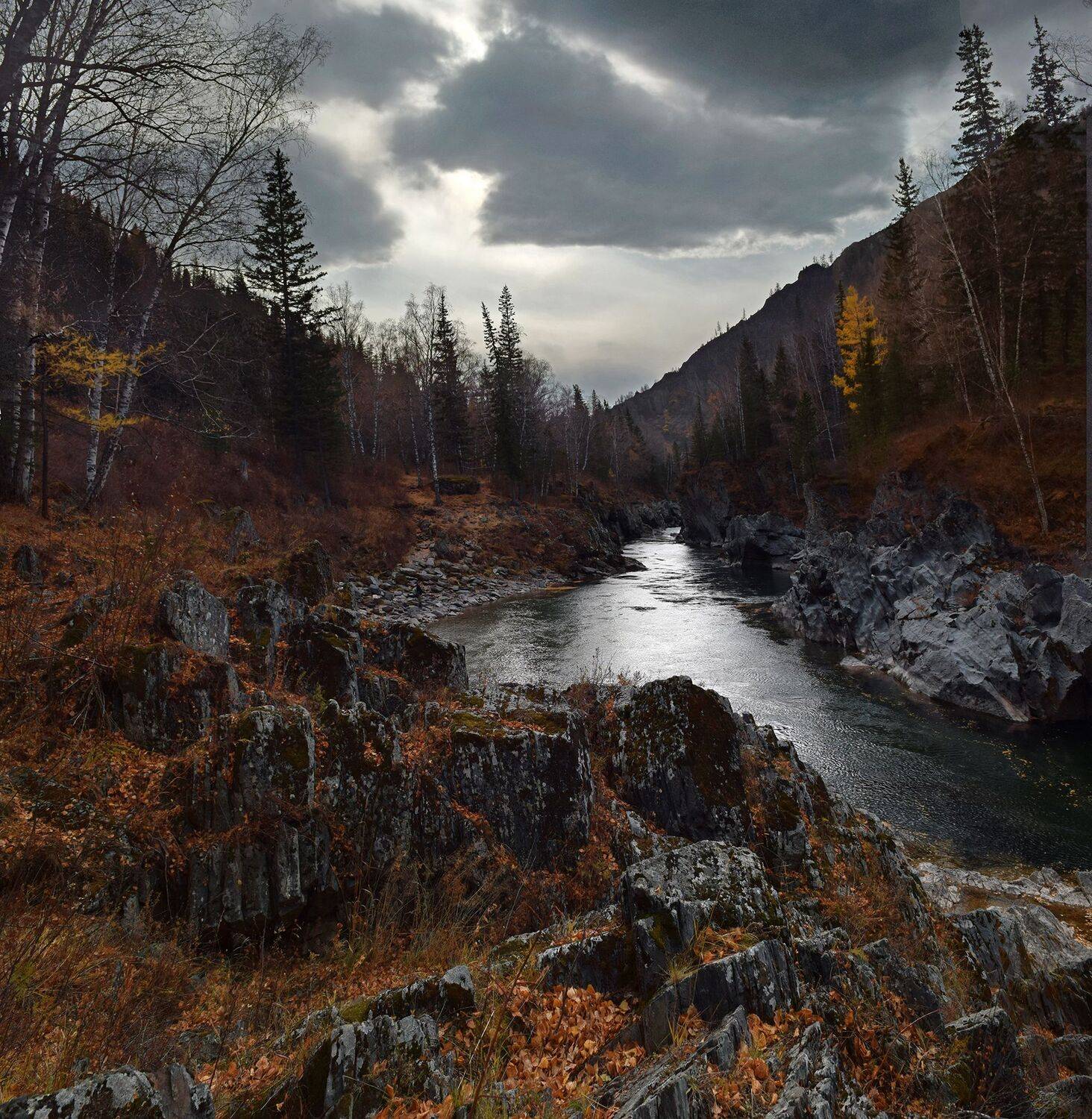 , Светлана Крат