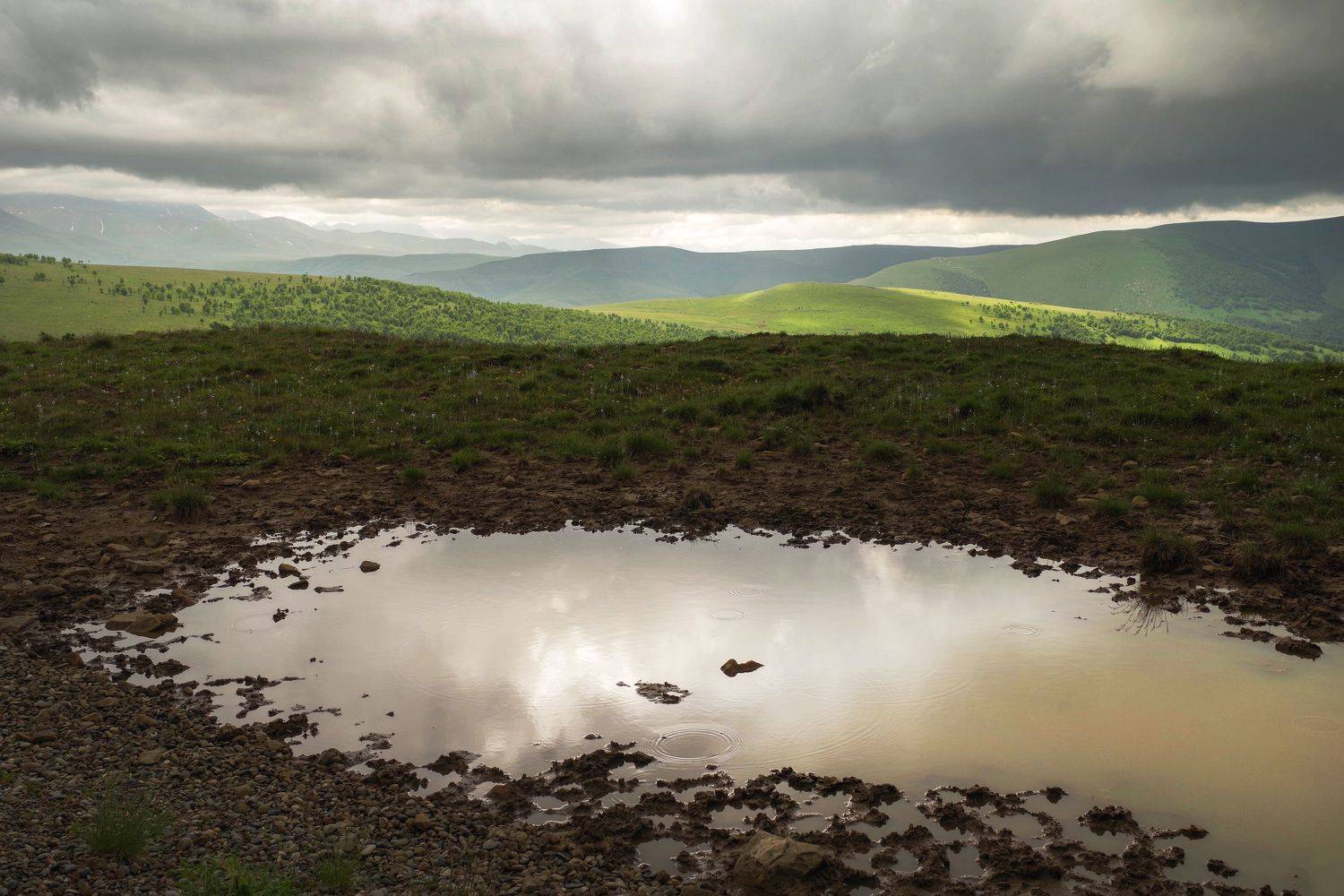 , Ольга Беккер