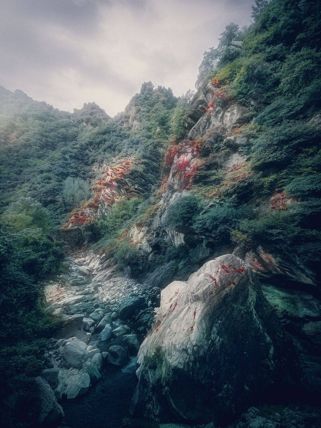 峡谷  丹秋, 吴 微雨墨烟鸿