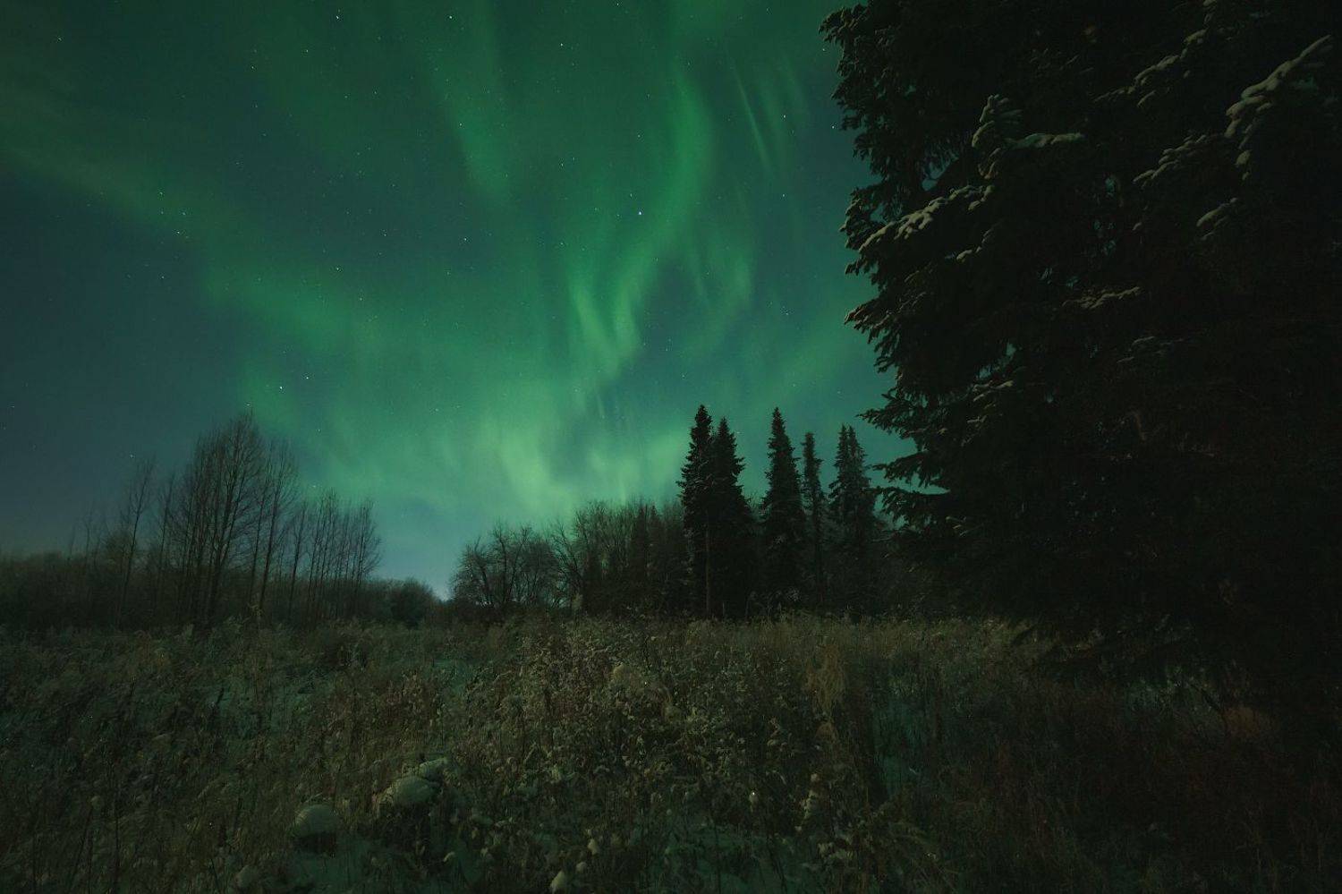 печора, северное сияние, коми, Игорь Подобаев