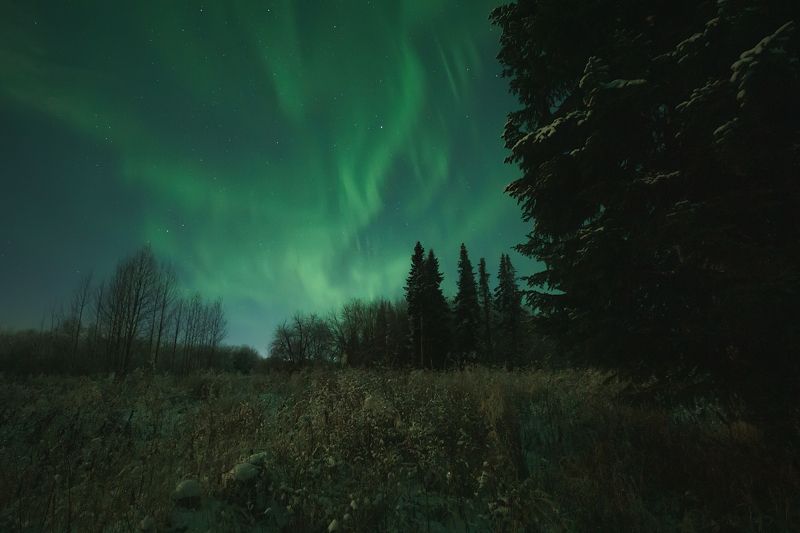 печора, северное сияние, коми Ночной север фото превью