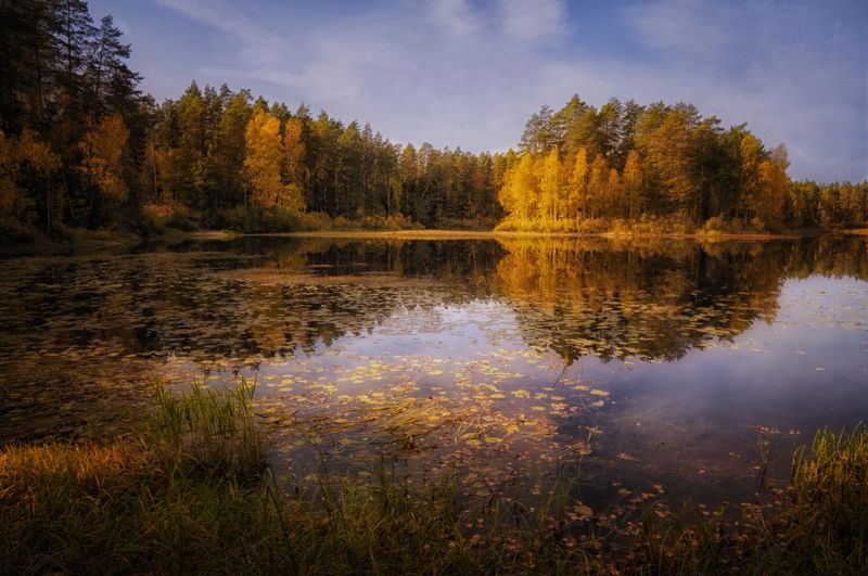 Осень на озере Чарском фото превью