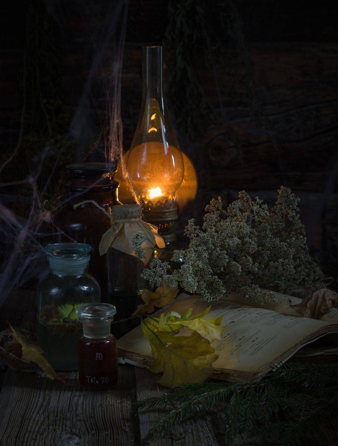 лампа, зелье, рецепт, паутина, травы, Хвойнова Елена