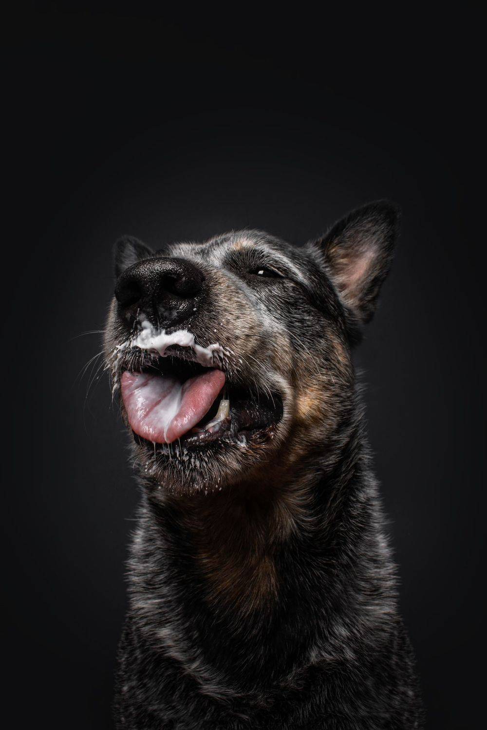 , Юлия Гончар