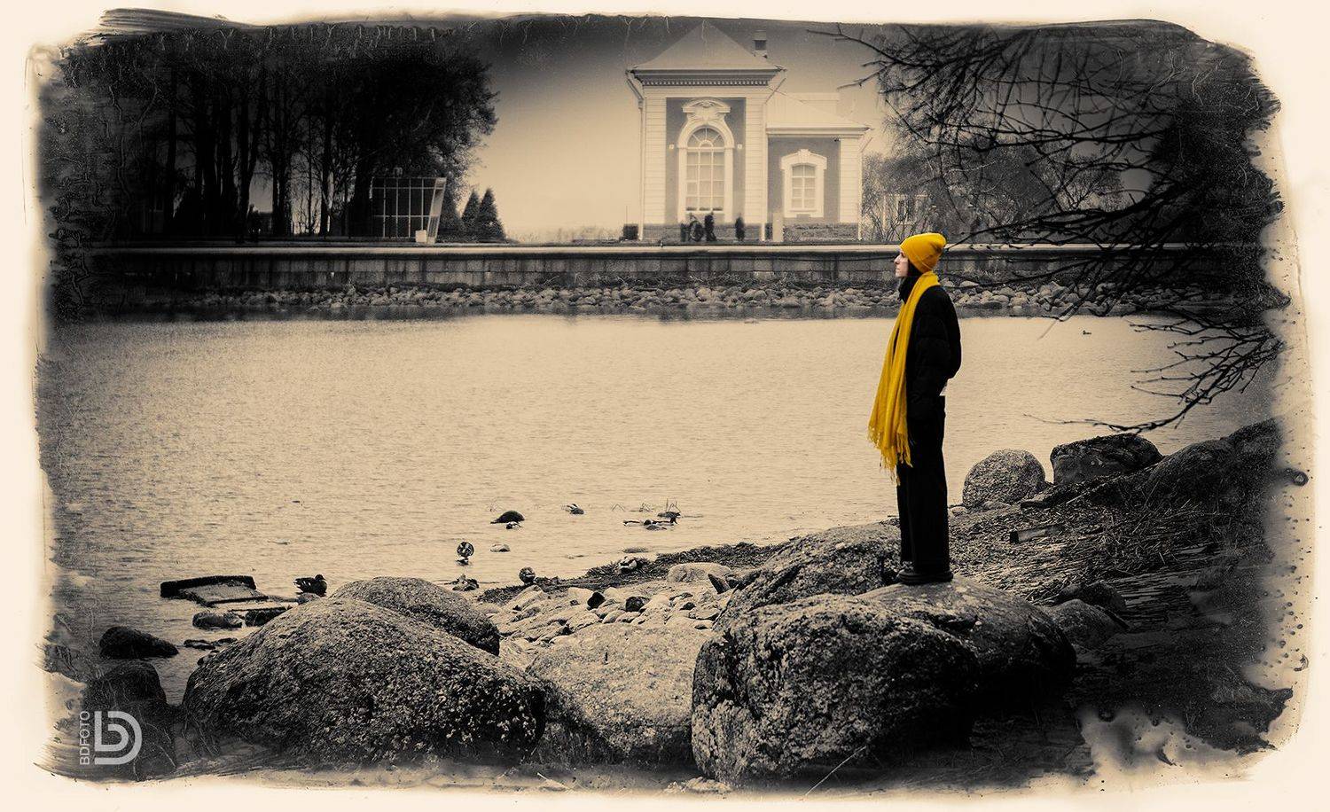 петергоф, Дмитрий Бакулин