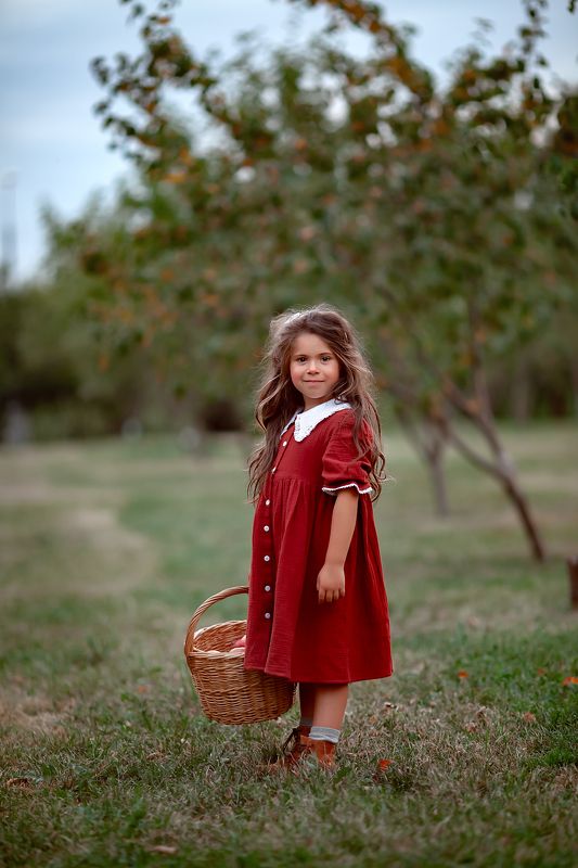 лето, дети, яблони, детский портрет, семейная фотография, яблоневый сад, урожай, ребенок В садах фото превью
