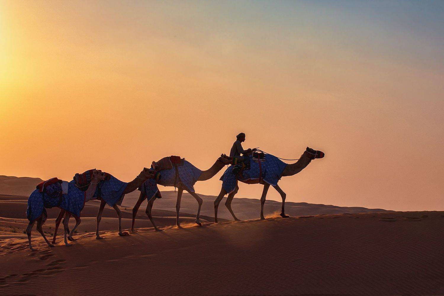 , Усманов Рашид