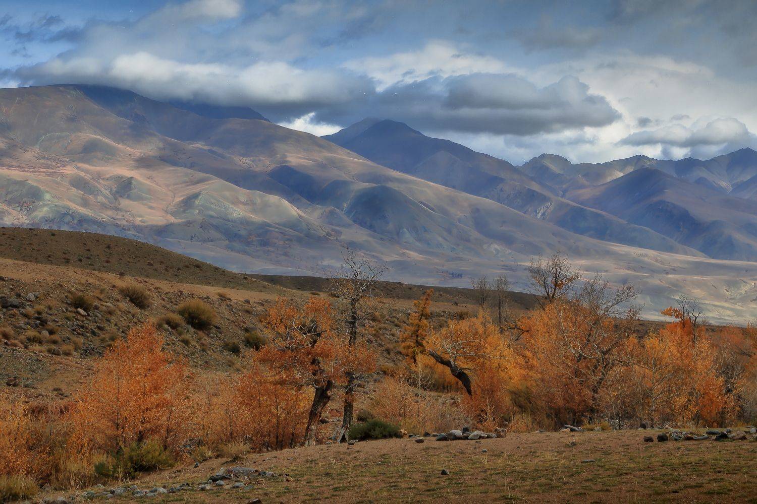 , Евгений Зинов