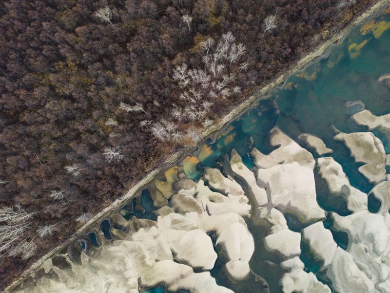 Осень, Лес, Обь фото превью