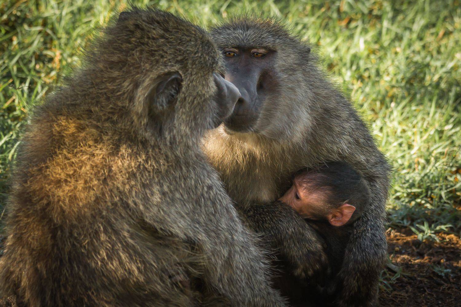 , Максимова Дария