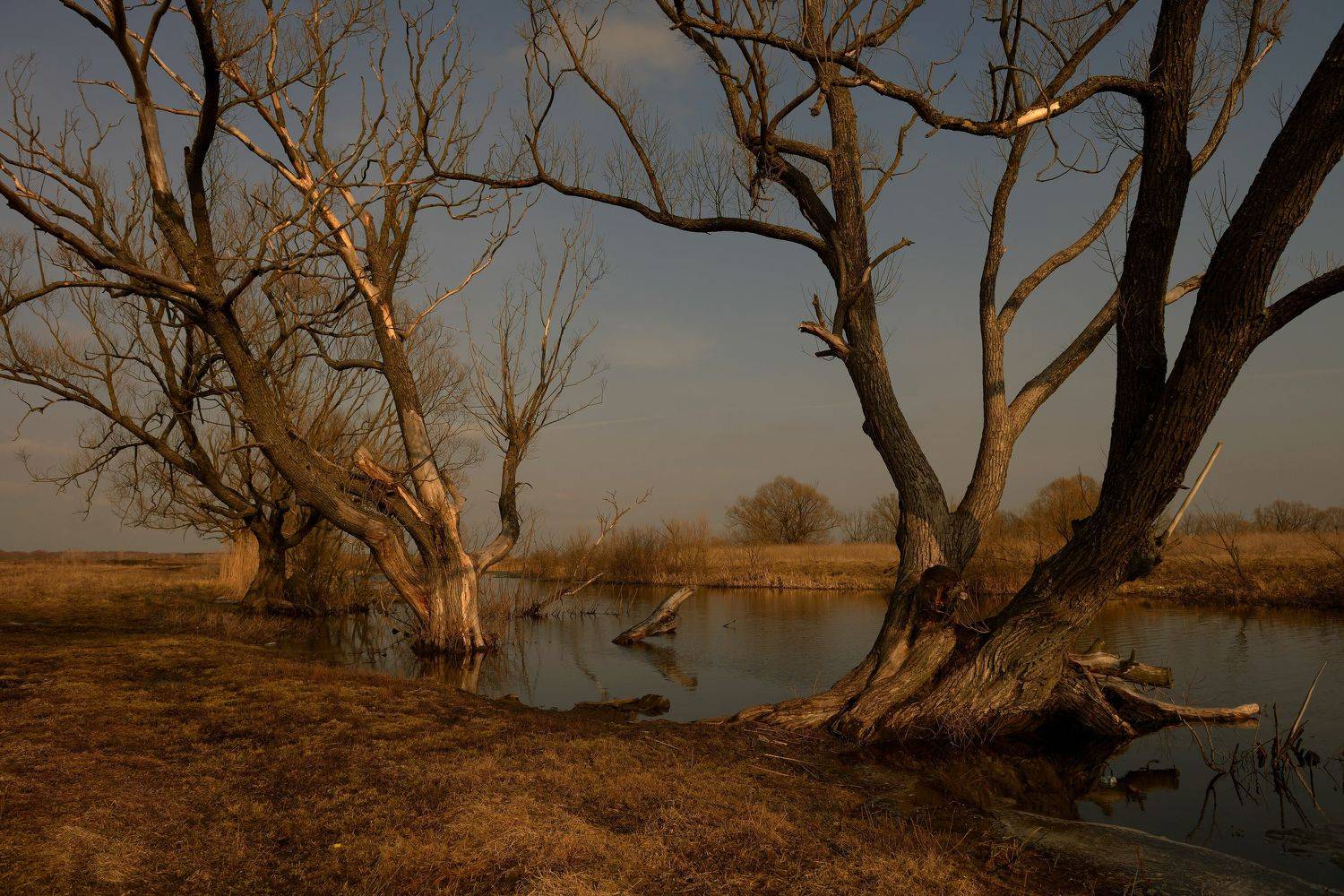 , Андрей Балабин
