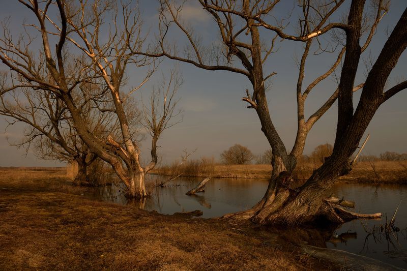 Март фото превью