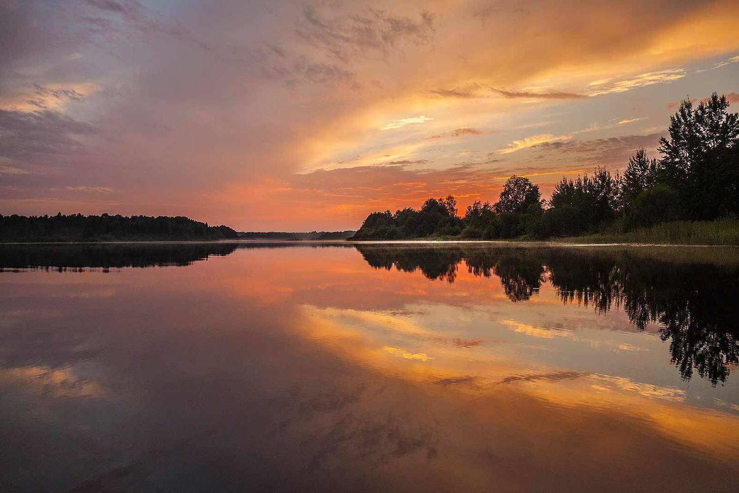 , Напалкин Станислав