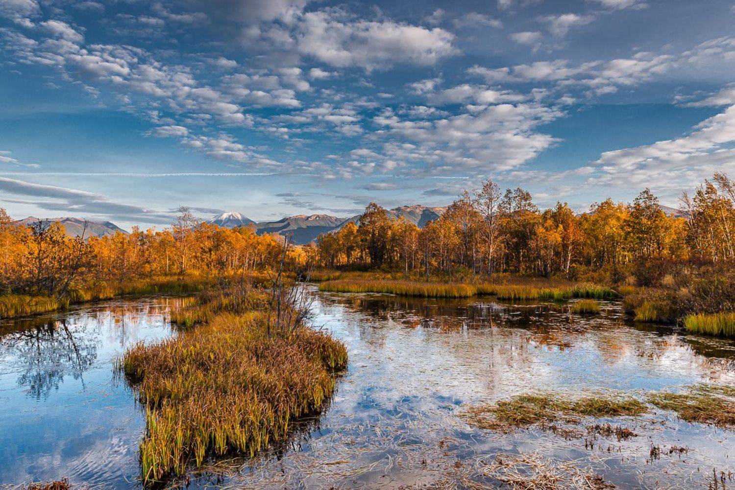 , Евгений Житников
