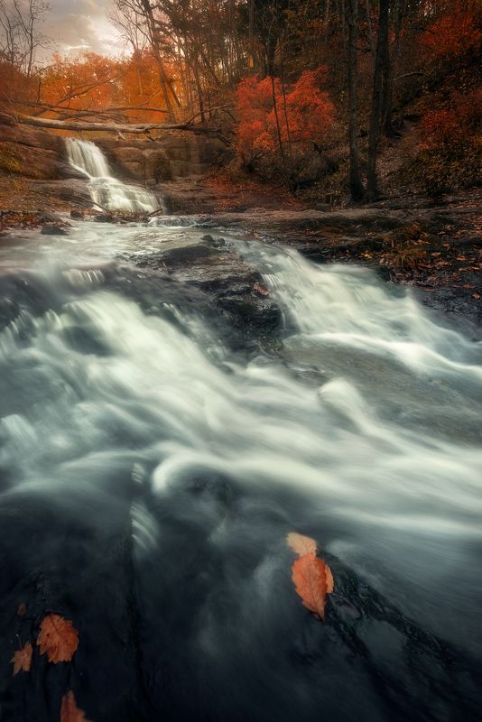 осень *** фото превью