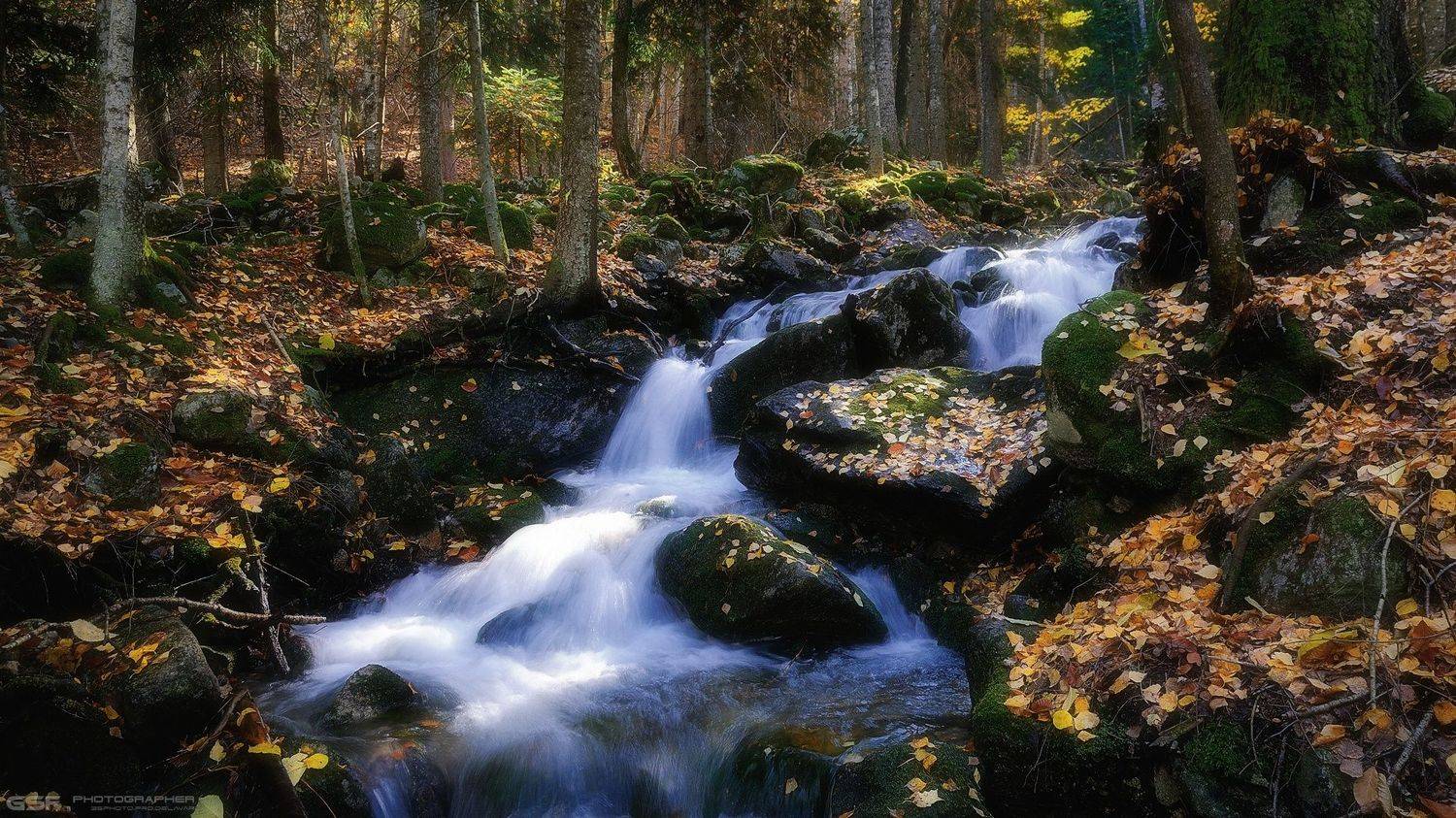 природа пейзаж осень горы реки лес, Serj Master