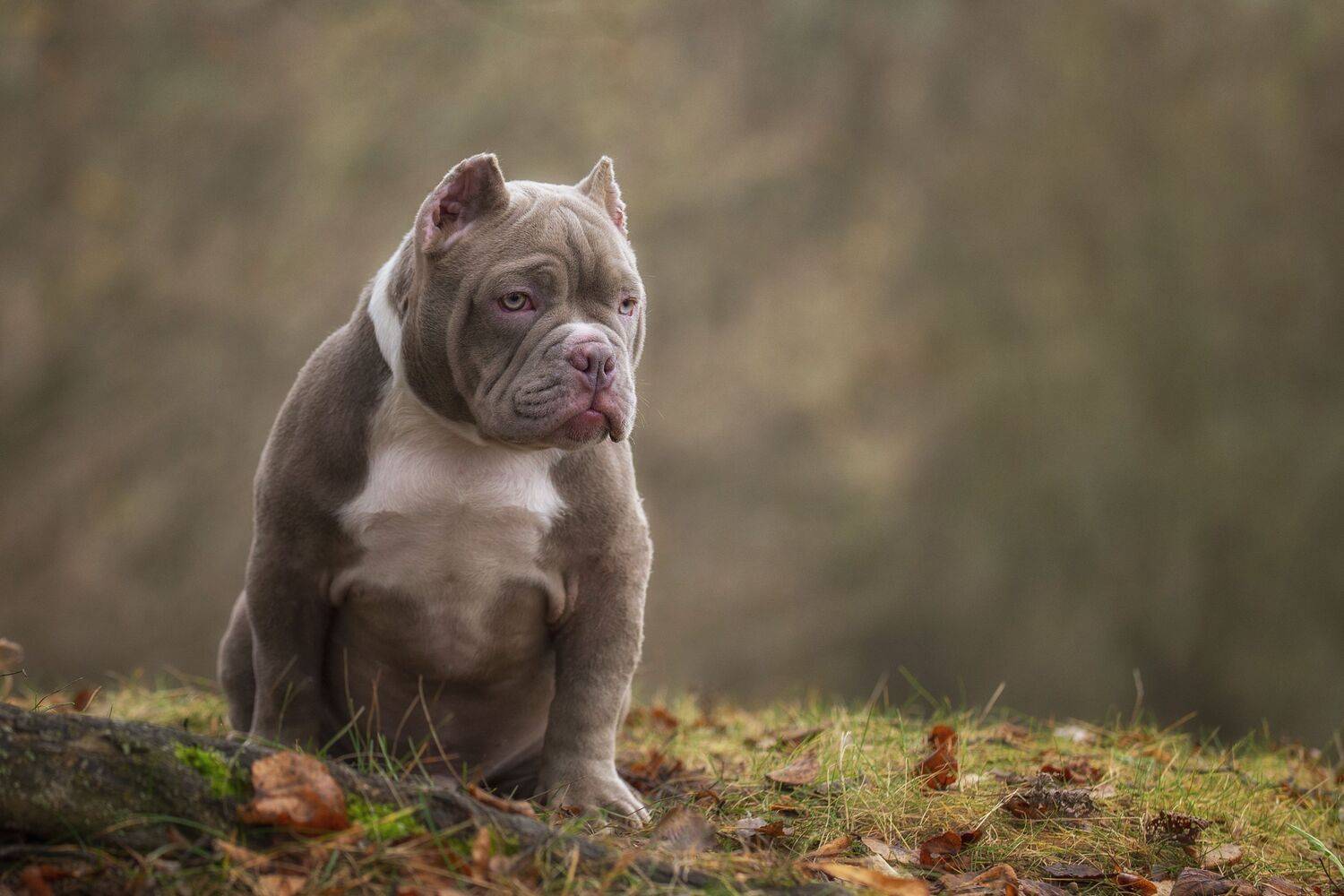 , Кулаков Юрий