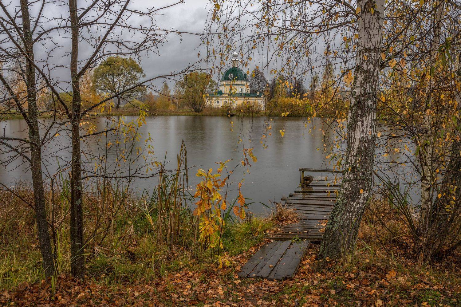 Московская область, Гусева Елена
