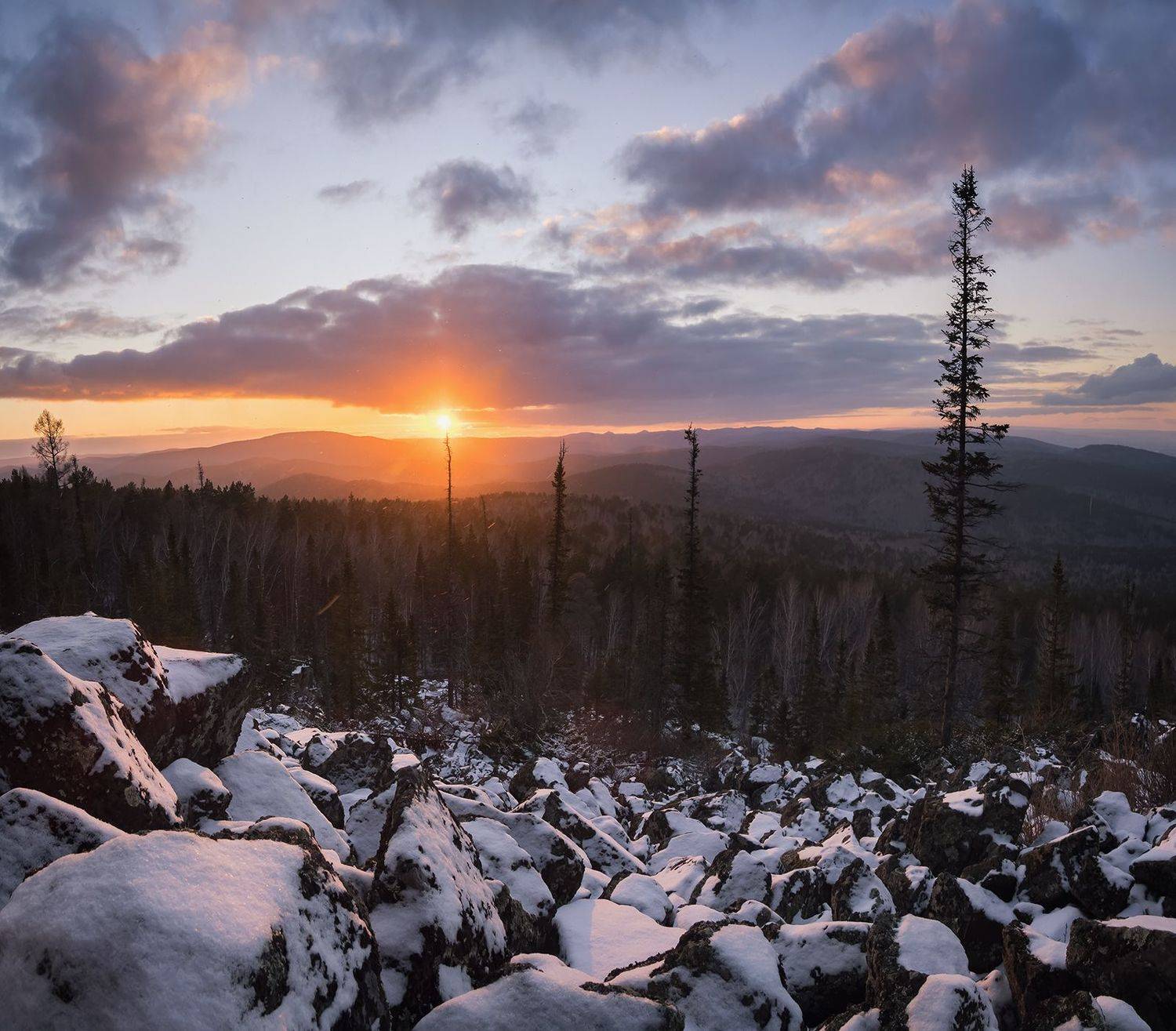 , Лещёнок Александр