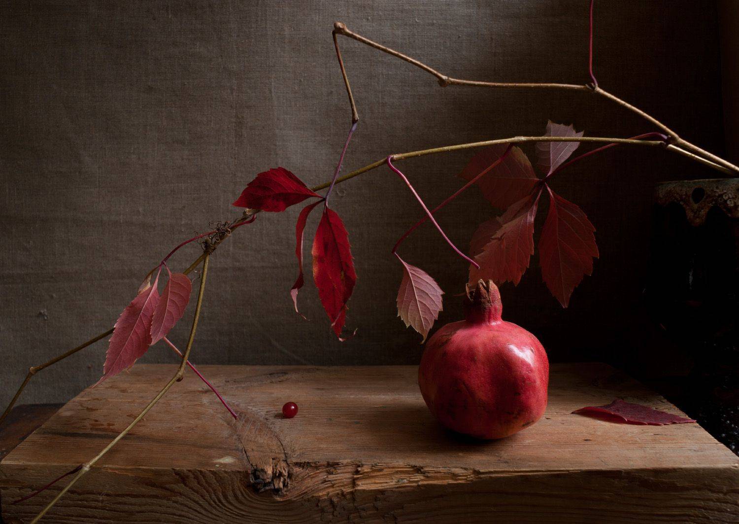 , Колеснева Елена