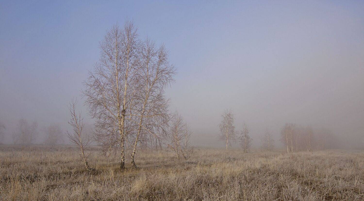 , Максим Подосинников