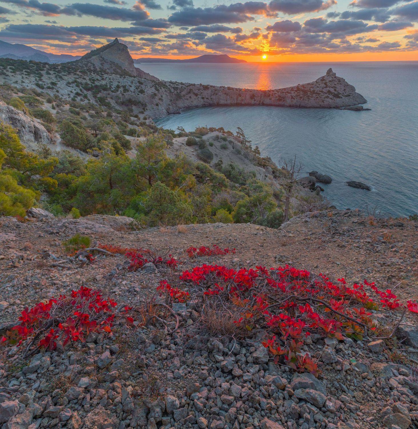 Фототуры с Владимиром Рябковым, #topnature #russpasibo #magic_shots #lovelyRussia #sunset_vision #exclusive_sky  #exclusive_shots #loves_russia2 #photoarena_nature #nature_sultans #nature_perfection #rsa_sky #rsa_sunset #photorussia #rsa_naturepics #sunse, Владимир Рябков