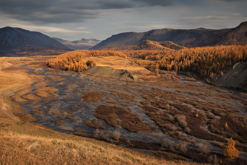 Разлив реки Джазатор фото превью