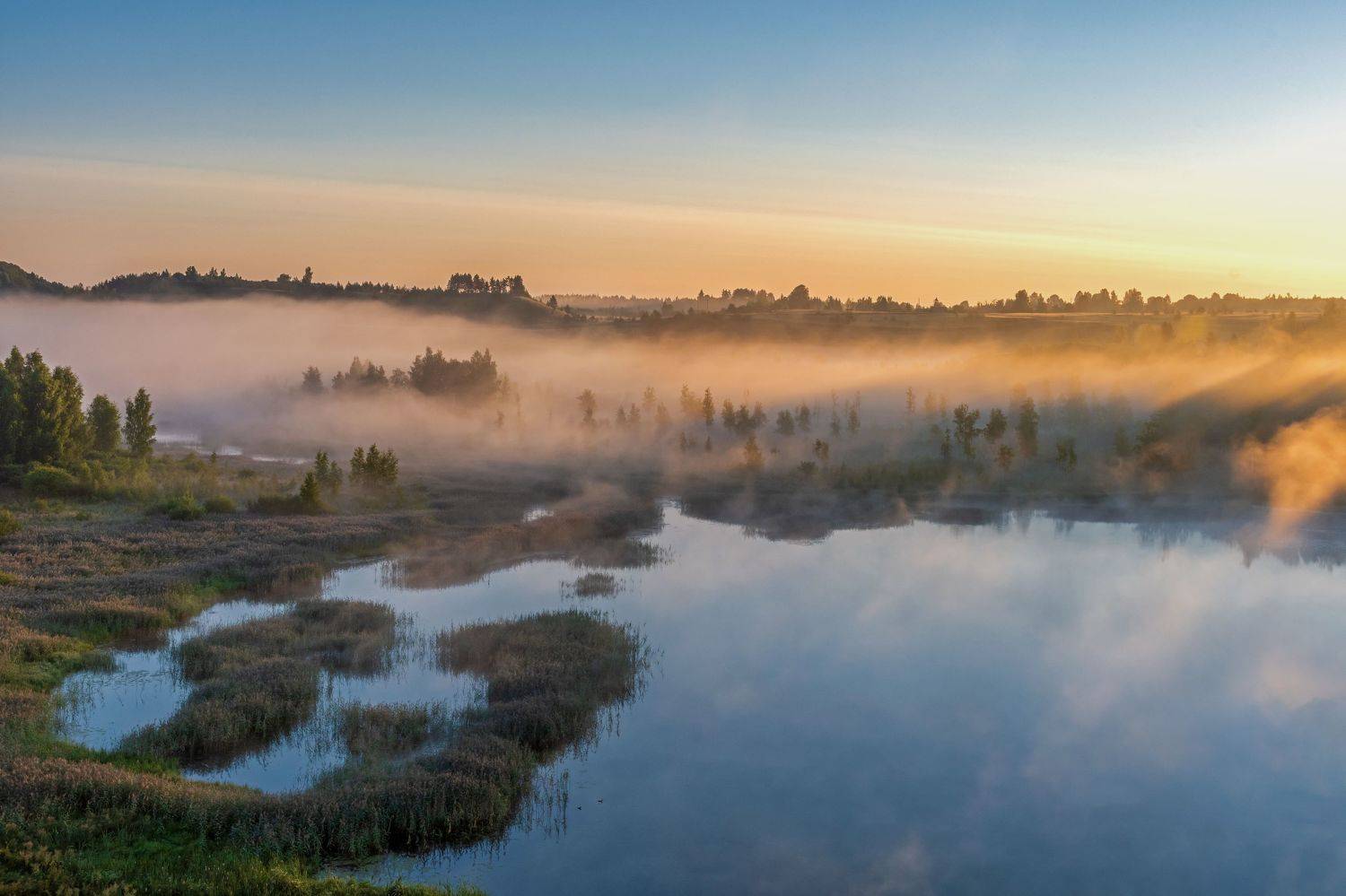 , Виктор Желенговский