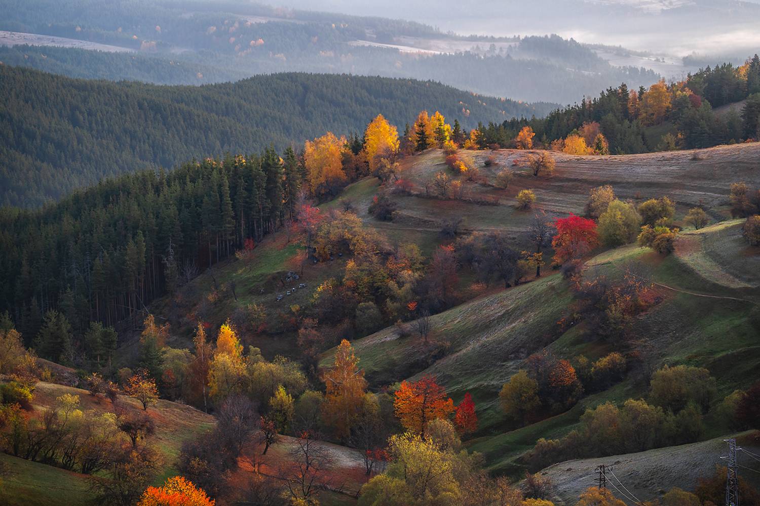 landscape, nature, scenery, forest, wood, trees, oldhouses, village, autumn, fall, colors, mountain, rodopi, bulgaria, лес, Александър Александров