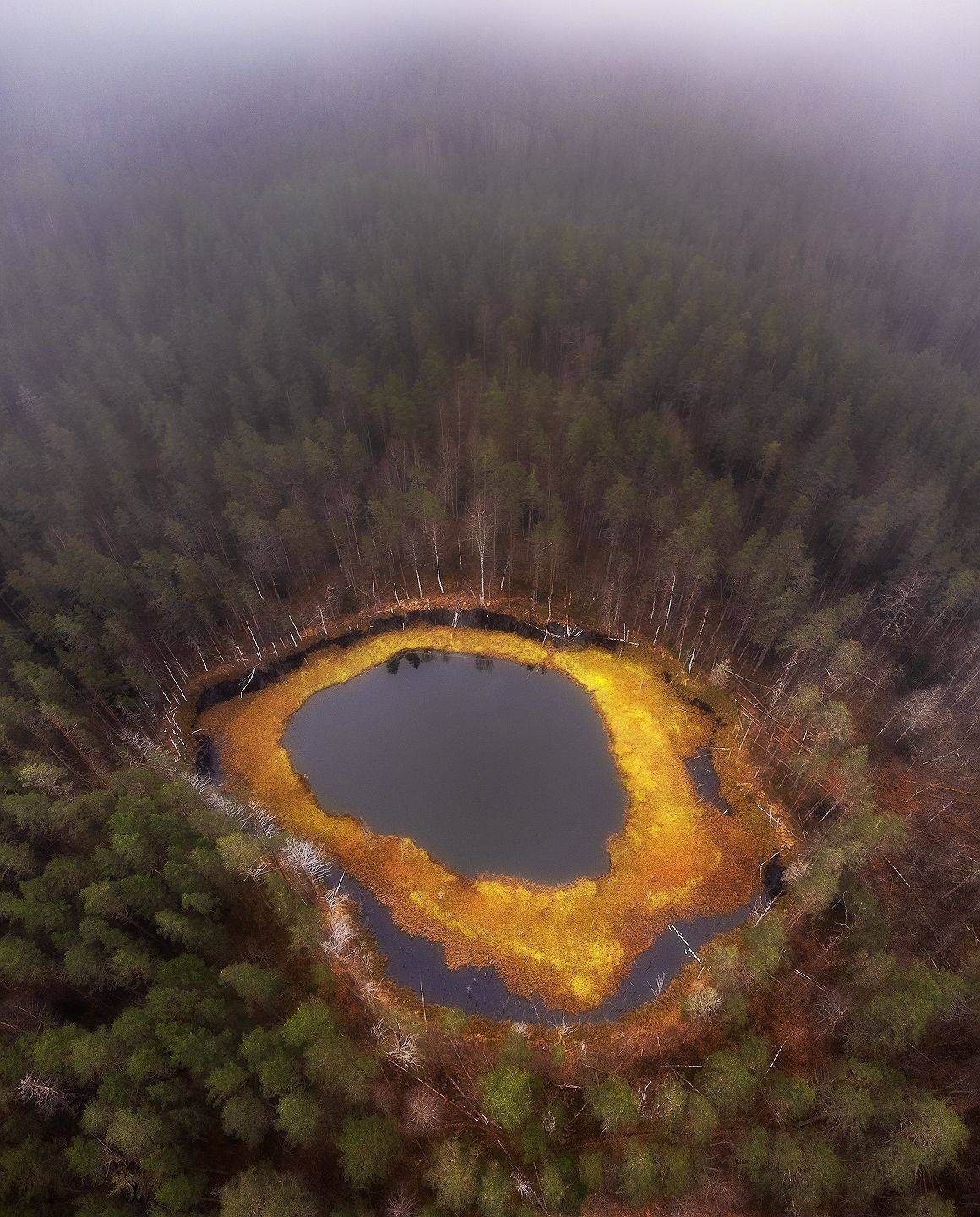 болото, ленобласть, осень, Марголин Алексей